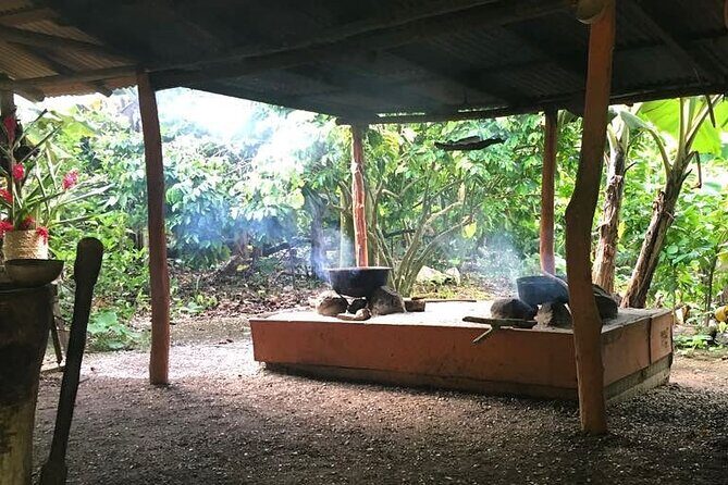 Half-Day Authentic Safari and Traditional Combo - Who Would Love This Tour?