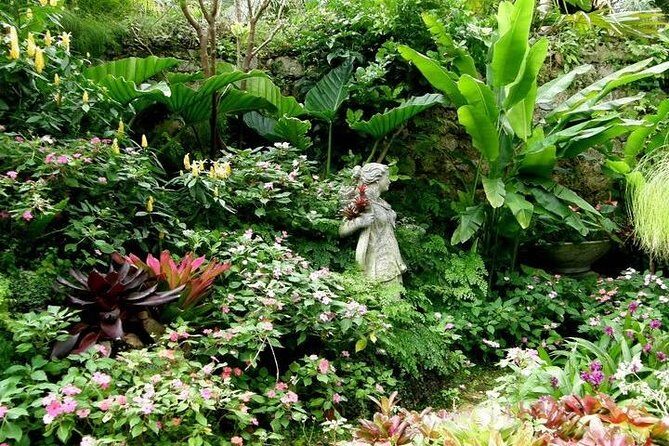 Half-Day Barbados Tour Harrisons Cave Hunte's Garden and Bathsheba - Hunte’s Garden: A Tropical Sanctuary