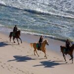 Half-Day Beach Horse Back Riding in Puerto Plata - Authenticity and Group Atmosphere