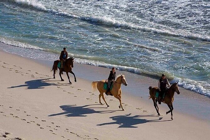 Half-Day Beach Horse Back Riding in Puerto Plata - Authenticity and Group Atmosphere