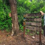 Half Day Birdwatching in Cerro Blanco from Guayaquil - In-Depth Review: A Closer Look at the Half-Day Birdwatching Experience