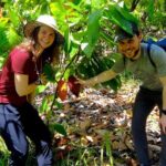 Half Day Bliss Cacao Farm Adventure & Guayaquil City Highlights - FAQs