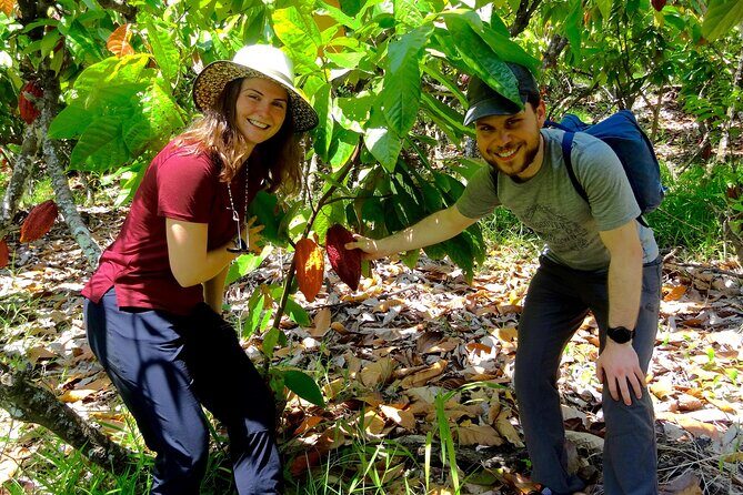 Half Day Bliss Cacao Farm Adventure & Guayaquil City Highlights - FAQs