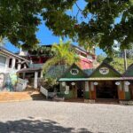 Half Day Bob Marley Private Nine Mile Mausoleum Tour - Who Will Love This Tour?