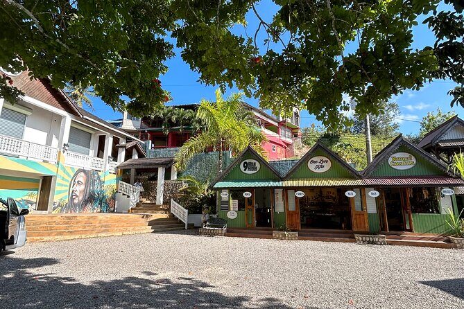 Half Day Bob Marley Private Nine Mile Mausoleum Tour - Who Will Love This Tour?
