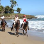Half Day Buggies and Horseback Experience in Punta Cana - Final Thoughts: Is It Worth It?