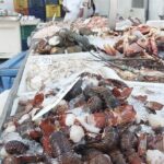 Half-Day Casco Viejo The Real City Guided with a Local Touch Tour - A Closer Look at the Tour Experience