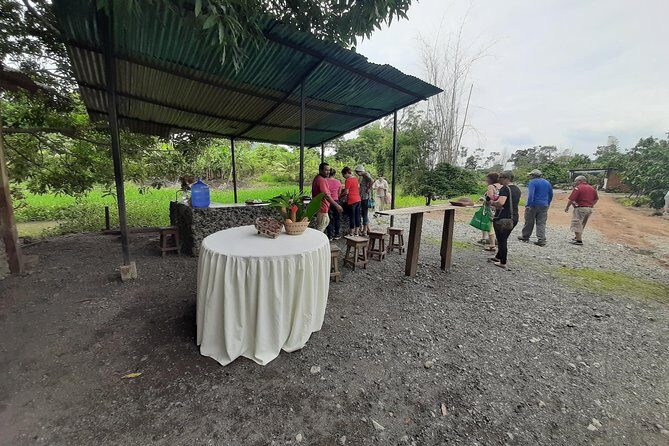 Half-day Chocolate Workshop - Cacao Farm - A Closer Look at the Cacao Farm Tour Experience
