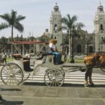 Half-day City Tour from Lima - Key Points