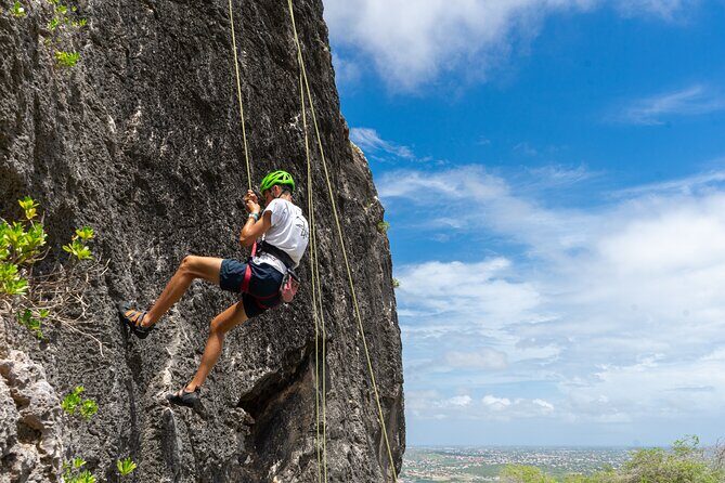 Half day Climbing Trip at the Tafelberg, Curaçao - Practical Details: What You Need to Know