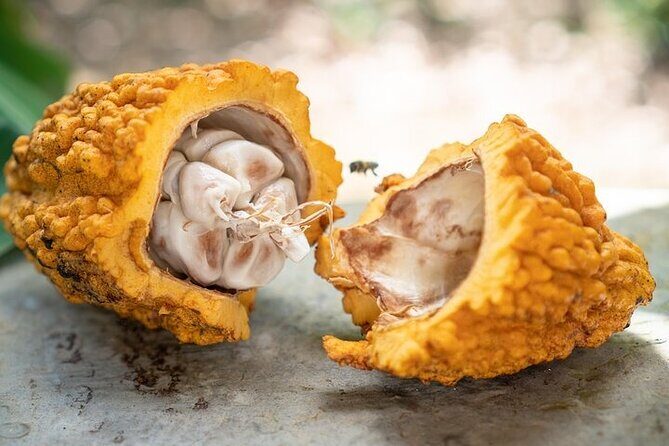 Half-Day Cultural Experience: History, Flavors & Local Artisans