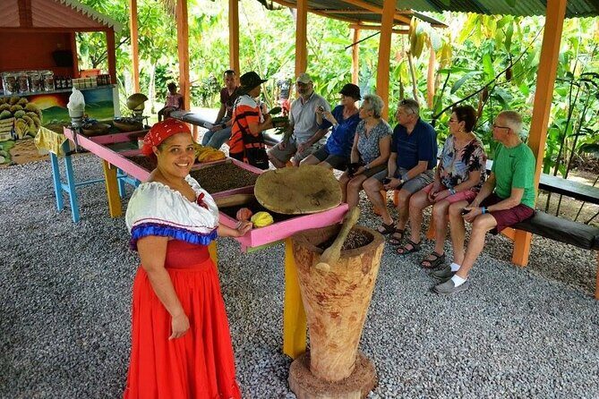 Half-Day Cultural Safari Tour from Uvero Alto - What Makes This Tour Stand Out?