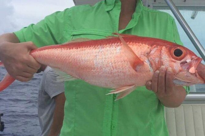 Half day Deep sea/light tackle fishing charters - FAQ
