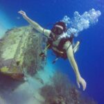 Half-Day Dive Tour in San Andres Island (CERTIFIED DIVERS ONLY) - The Value of This Tour