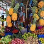 Half Day Dominican Republic Cultural Tour : Small Group - Frequently Asked Questions