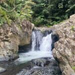 Half-Day El Yunque and Waterslides Adventure from Fajardo - Exploring El Yunque and Las Tinajas Falls in Detail
