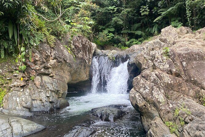 Half-Day El Yunque and Waterslides Adventure from Fajardo - Exploring El Yunque and Las Tinajas Falls in Detail
