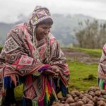 Half Day Excursion to the Potato Park - Paru Paru Community. - What The Tour Includes and Excludes