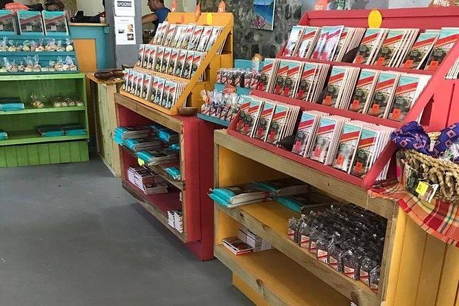 Half-Day Grenada Island Small-Group Sightseeing Tour - Who Is This Tour Best For?