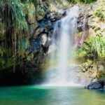 Half-Day Grenada River Tubing -Grand Etang & Annandale Falls - The Heart of the Tour: River Tubing on Balthazar River