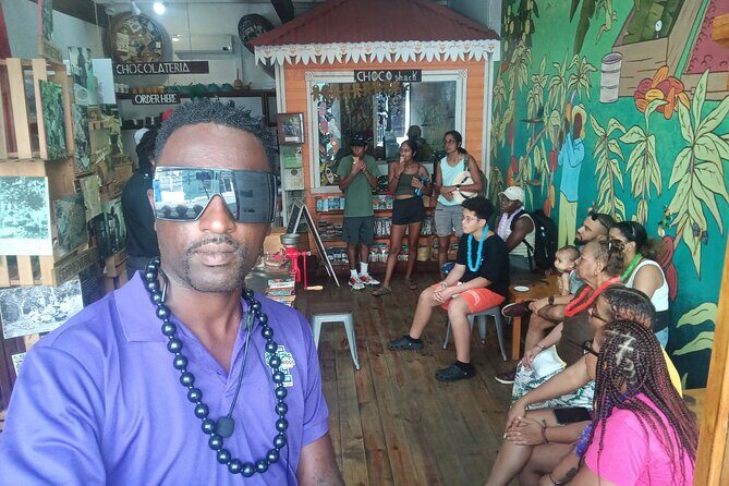 Half-Day Hawaiian Leis Chocolate Waterfalls Beach Tour - Who Should Consider This Tour?