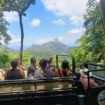Half-Day Jeep Tour in Rio's Tijuca Rainforest and Scenic - Who Should Book This Tour?