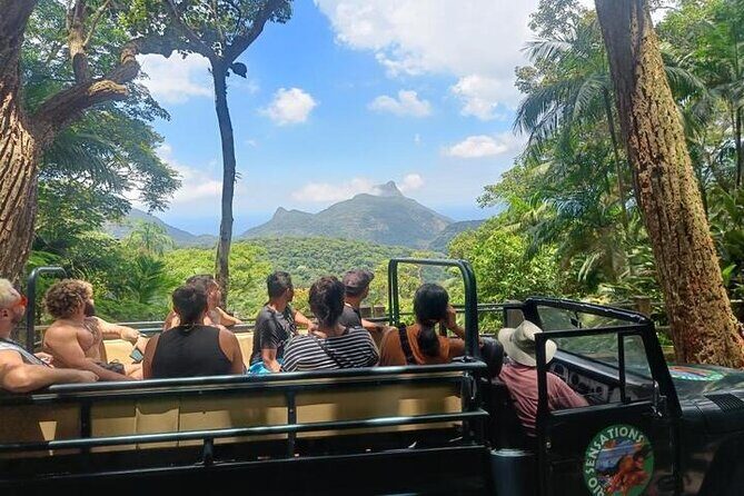 Half-Day Jeep Tour in Rio's Tijuca Rainforest and Scenic - Who Should Book This Tour?