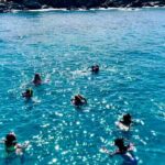 Half Day Luxury Catamaran Turtle Snorkel And Beach - Practical Details and Tips