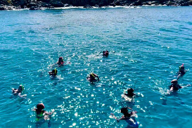 Half Day Luxury Catamaran Turtle Snorkel And Beach - Practical Details and Tips