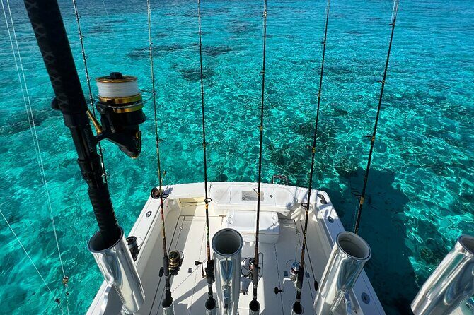 Half Day Luxury Private Fishing Charters in Cayman Islands - Who Will Love This Experience?