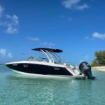 Half-Day Luxury Private Rose Island Pigs and Turtles Excursion - Authentic Experience and Guide Quality