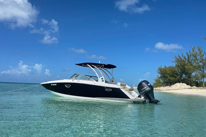 Half-Day Luxury Private Rose Island Pigs and Turtles Excursion - Authentic Experience and Guide Quality