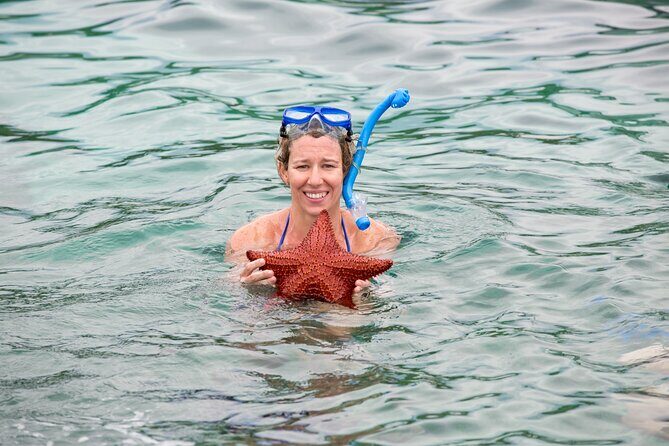 Half-Day Nassau Getaway: Rose Island Snorkeling & Turtle Visit - Final Thoughts