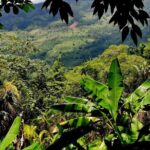 Half-Day Nature Culture Excursion, Tropical Taino Garden Tour - Final Thoughts