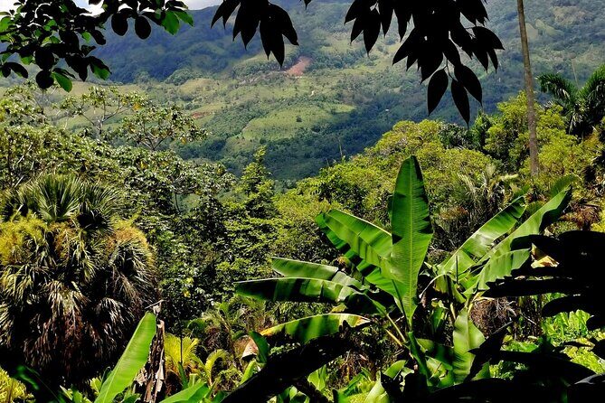 Half-Day Nature Culture Excursion, Tropical Taino Garden Tour - Final Thoughts