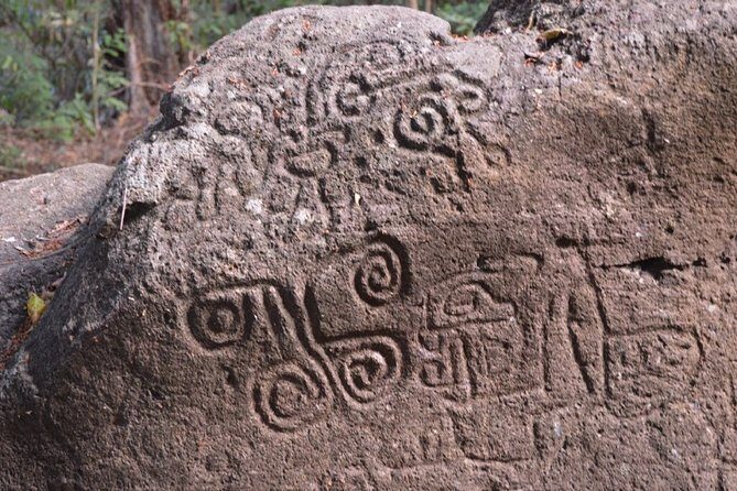 Half-Day Nature expedition at Ometepe Island - Frequently Asked Questions