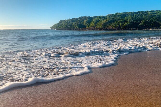 Half-Day: Old San Juan, Calle Cerra,Santurce, La Placita & Loíza - Practical Details and Value