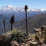 Half-Day Private Andes Hiking Tour from Santiago, carbon neutral. - Final Thoughts: The Value of a Mountain Escape