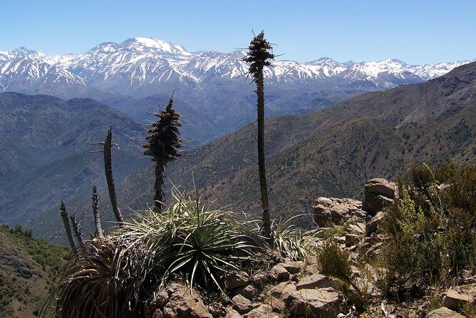 Half-Day Private Andes Hiking Tour from Santiago, carbon neutral. - Final Thoughts: The Value of a Mountain Escape
