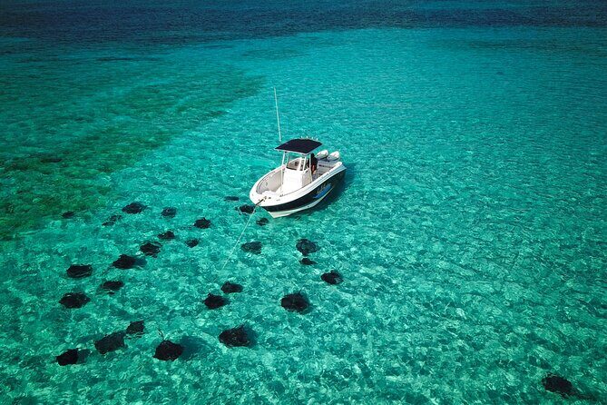 Half Day Private Boat Charter in Grand Cayman - The Experience in Context