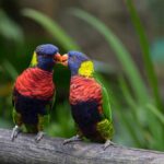 Half Day Private Custom Tour of Martinique - FAQ