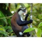 Half Day Private Island Adventure in Grenada - Final Thoughts