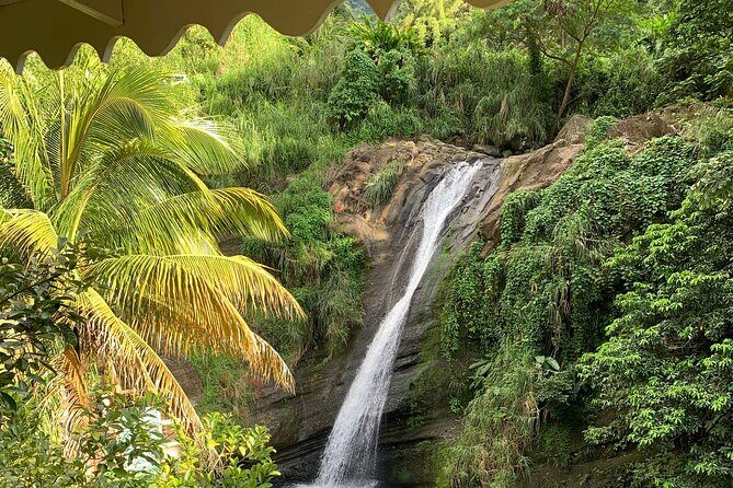 Half Day Private Tour in Grenada - Who Should Book This Tour?