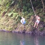 Half-Day Rainforest Tour with Transport from San Juan - Frequently Asked Questions