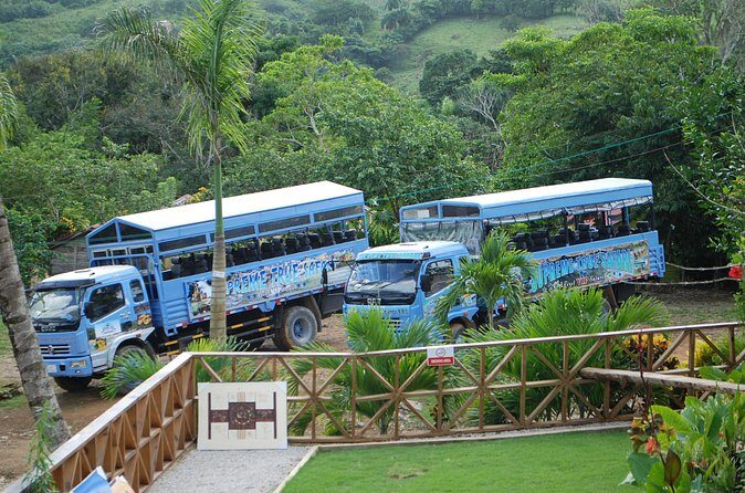 Half-Day Safari Tour from Punta Cana - What Makes This Tour Stand Out?