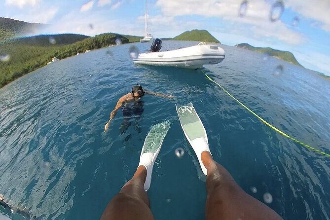 Half Day Sail to Lime Out St. Thomas with Gourmet Tacos - A Closer Look at the Itinerary and Experience