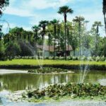 Half-Day Small Group Undurraga Vineyard Tour - Winetasting Included - The Value of the Experience