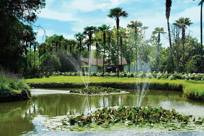 Half-Day Small Group Undurraga Vineyard Tour - Winetasting Included - The Value of the Experience