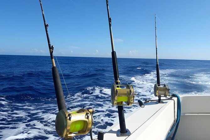 Half Day Sport Fishing Excursion Departing from Sosua - Why This Tour Offers Great Value