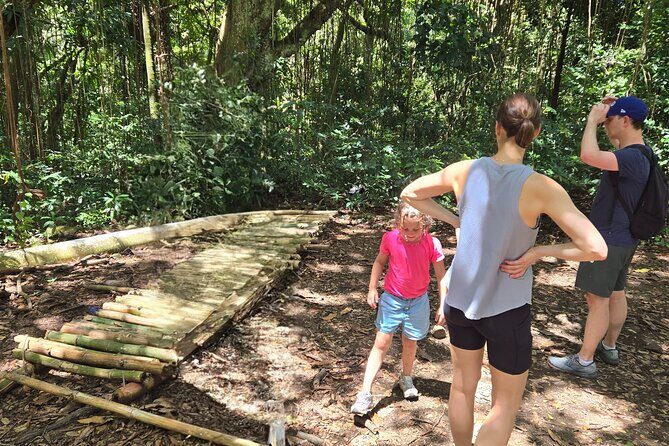 Half-Day St. Kitts Rainforest Hike - Why This Tour Is a Great Choice